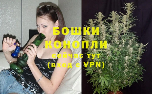 гидропоника Балабаново
