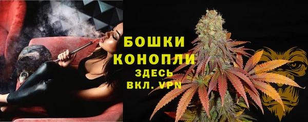 PSILOCYBIN Балахна