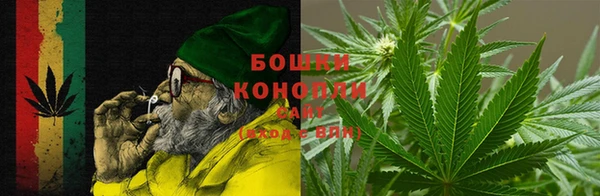 PSILOCYBIN Балахна